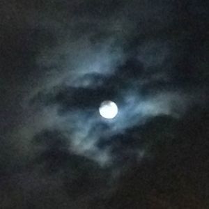 Meet your Posher, Cindy